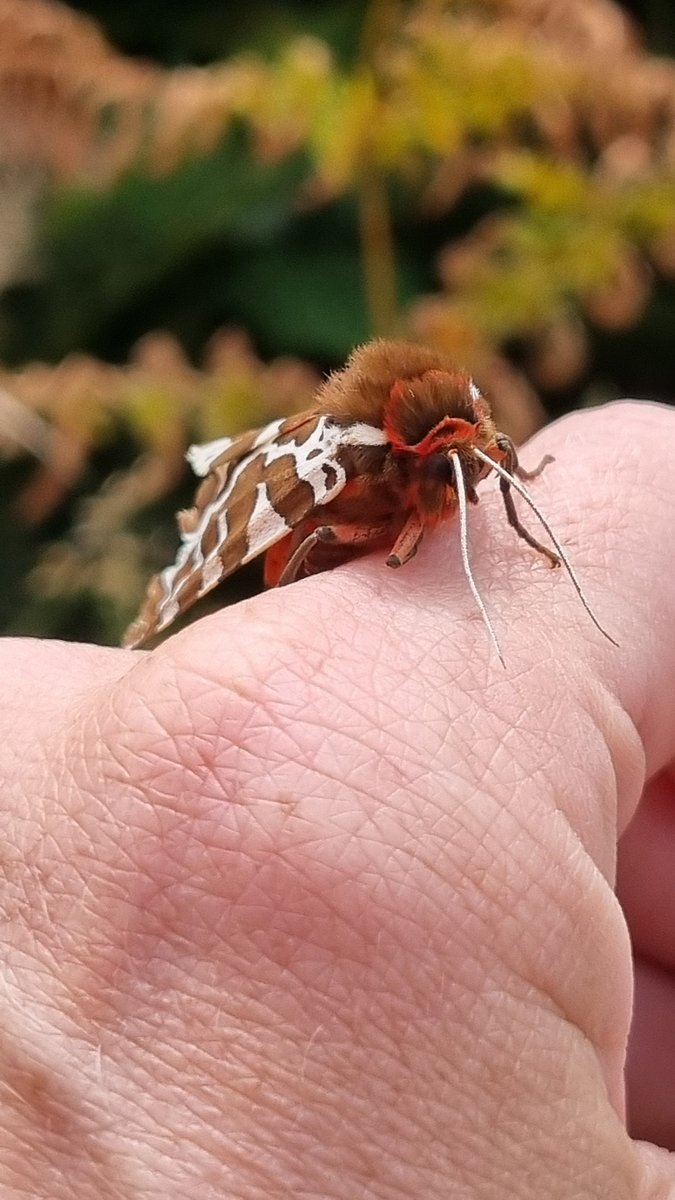 Tessa Delves tweet media