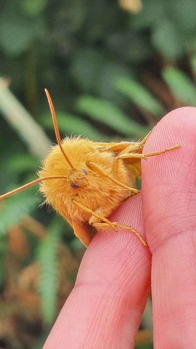 Tessa Delves tweet media