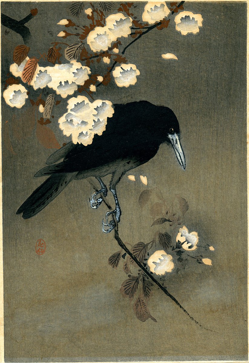Crow and blossom, by Ohara Koson, ca. 1910