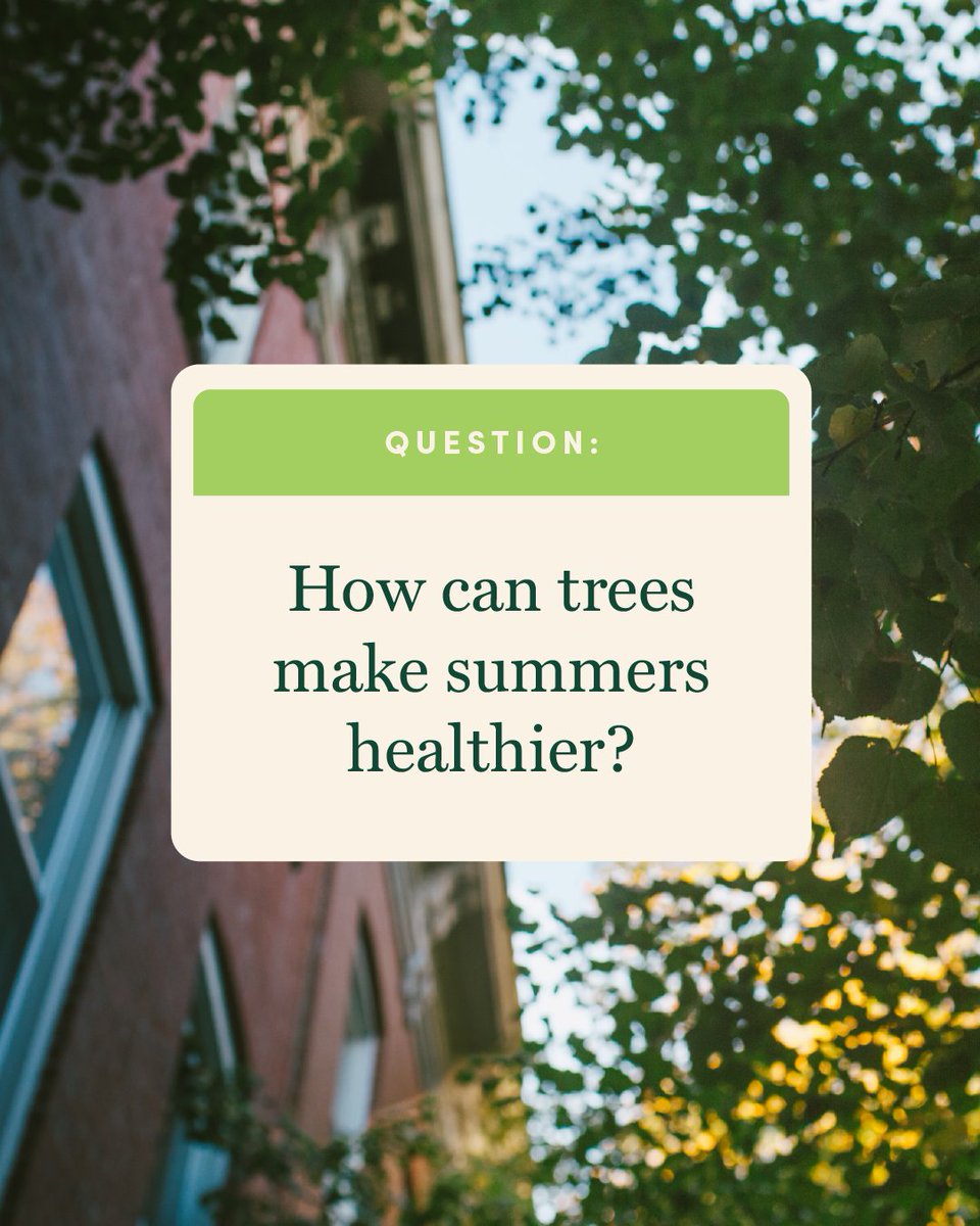It’s hot out there. For some people, a tree-lined street can mean the difference between a safe summer and a medical emergency.

Learn more at bit.ly/3Ia2Ykm