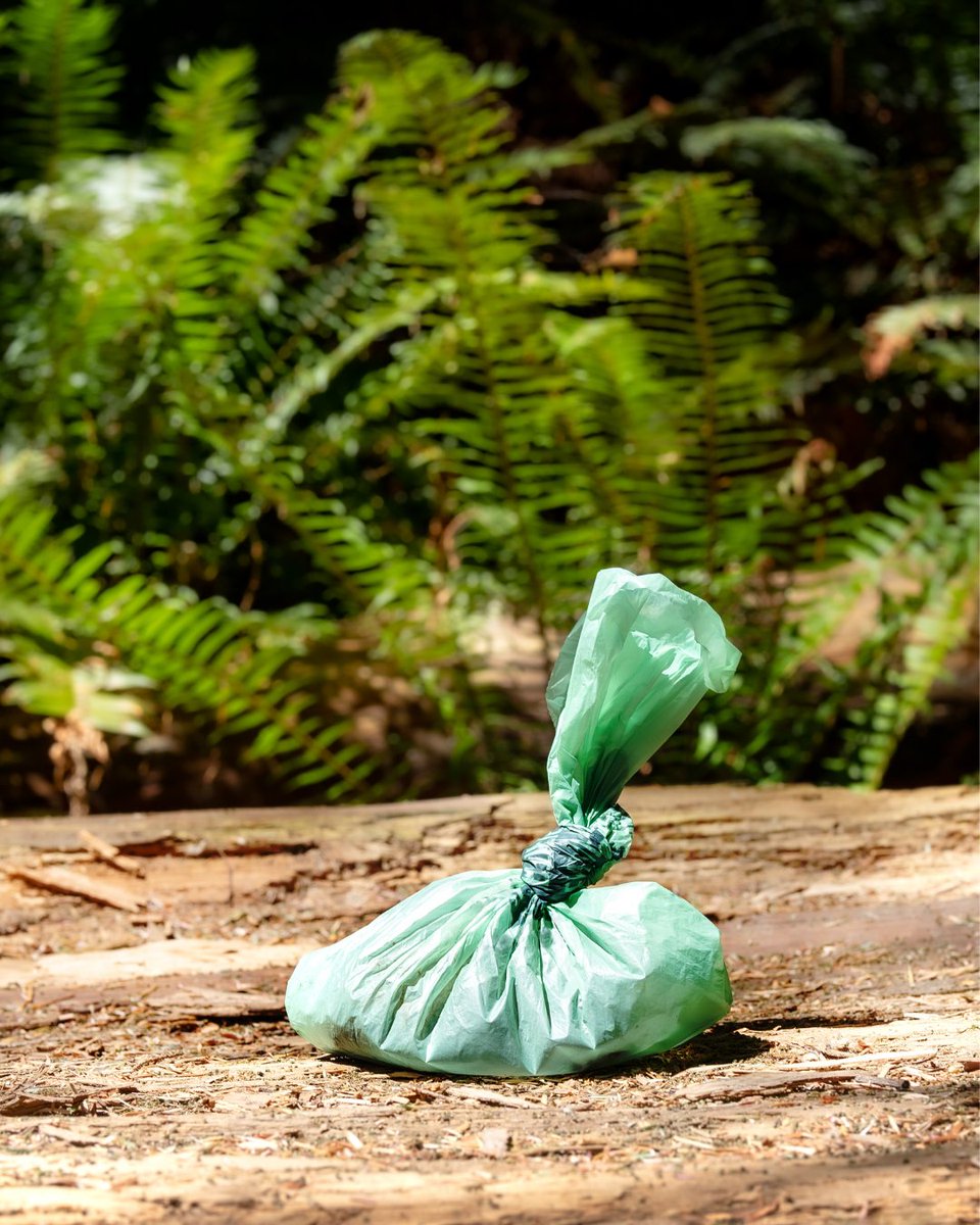 ArizonaDEQ's tweet photo. Bagging is only half the job 💩

Pet waste left on trails can wash into waterways, impacting water quality and harming wildlife – not to mention, it stinks! 🤢

Let’s keep our trails clean and our water safe!

#LeaveNoTrace #KeepAZClean #WaterQualityMonth https://t.co/hSSywoGEBf