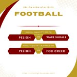 Photo by Pelion Panthers Athletics (@PHSPanthersAth)