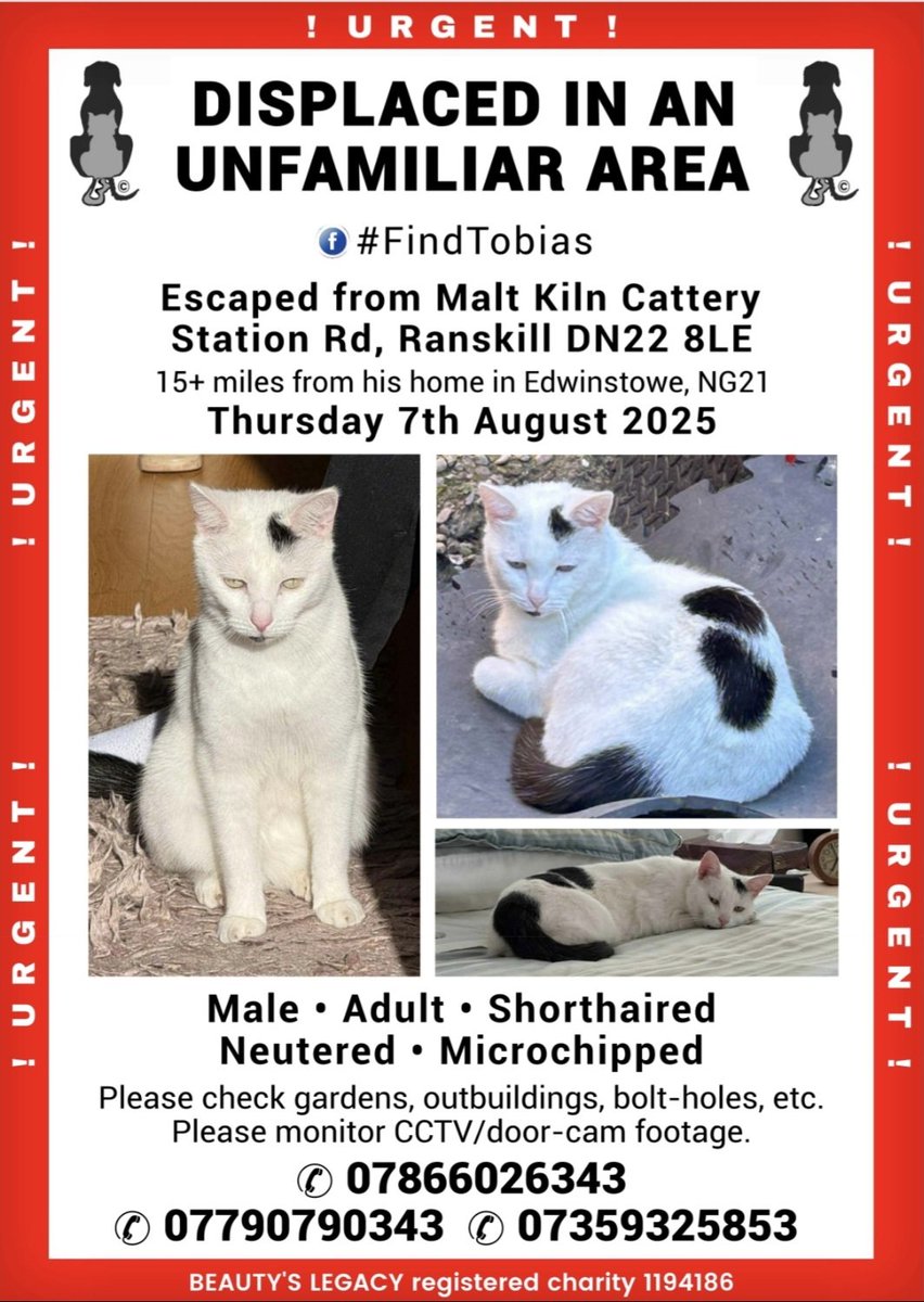 Beautys Legacy registered charity 1194186 (@beautys_legacy) on Twitter photo This is utterly heartbreaking. #cat Escaped from cattery when door left open. Edwinstowe based owners away on holiday. He's never been to the area before and will be hiding terrified. Please share.
<a href="/Retford_Times/">Retford Times</a> <a href="/retfordlife/">Retford Life</a> <a href="/RGTNews/">Retford Guardian</a> <a href="/Worksop/">Worksop Guardian</a> <a href="/mansfieldchad/">barry</a> <a href="/JaneFallon/">Jane Fallon</a> This is utterly heartbreaking. #cat Escaped from cattery when door left open. Edwinstowe based owners away on holiday. He's never been to the area before and will be hiding terrified. Please share.
<a href="/Retford_Times/">Retford Times</a> <a href="/retfordlife/">Retford Life</a> <a href="/RGTNews/">Retford Guardian</a> <a href="/Worksop/">Worksop Guardian</a> <a href="/mansfieldchad/">barry</a> <a href="/JaneFallon/">Jane Fallon</a>
