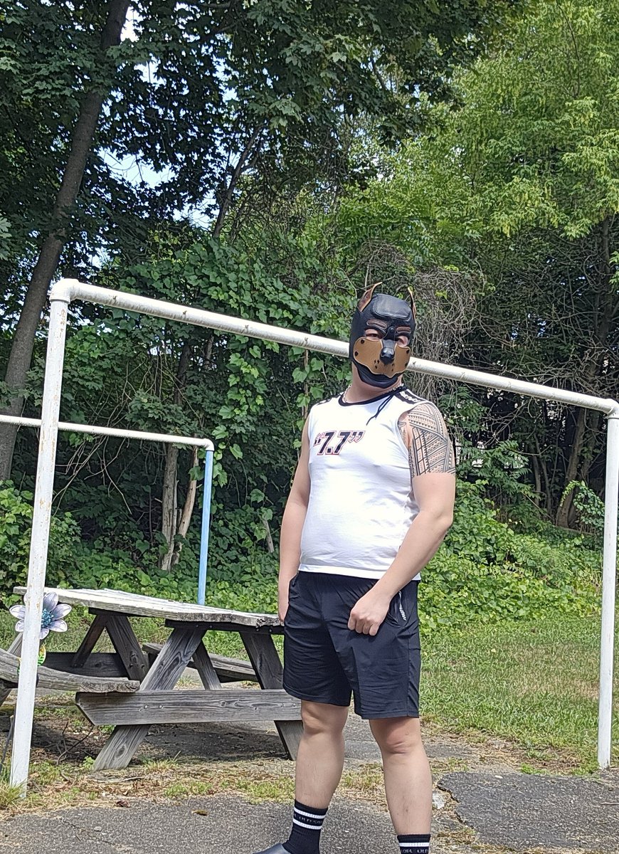 huyết lang tweet media