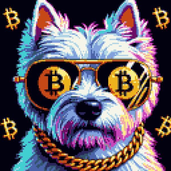 BitShades Dogs :: Celebrating Man's Best Friend tweet media