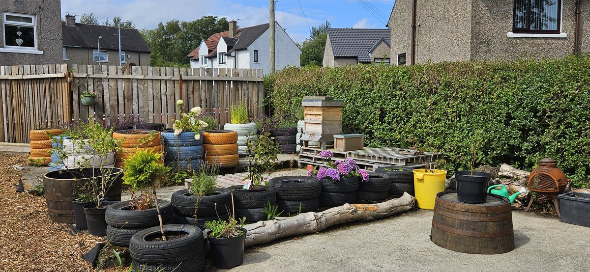 PCassidy29's tweet photo. Visited the Larkfield Gorilla Garden today 🌱 – huge credit to Kirsty &amp; the volunteers for turning a derelict site into a thriving community space. 

A brilliant example of local pride in action ! 💪 

#Larkfield #CommunitySpirit https://t.co/HebBEdaEKu