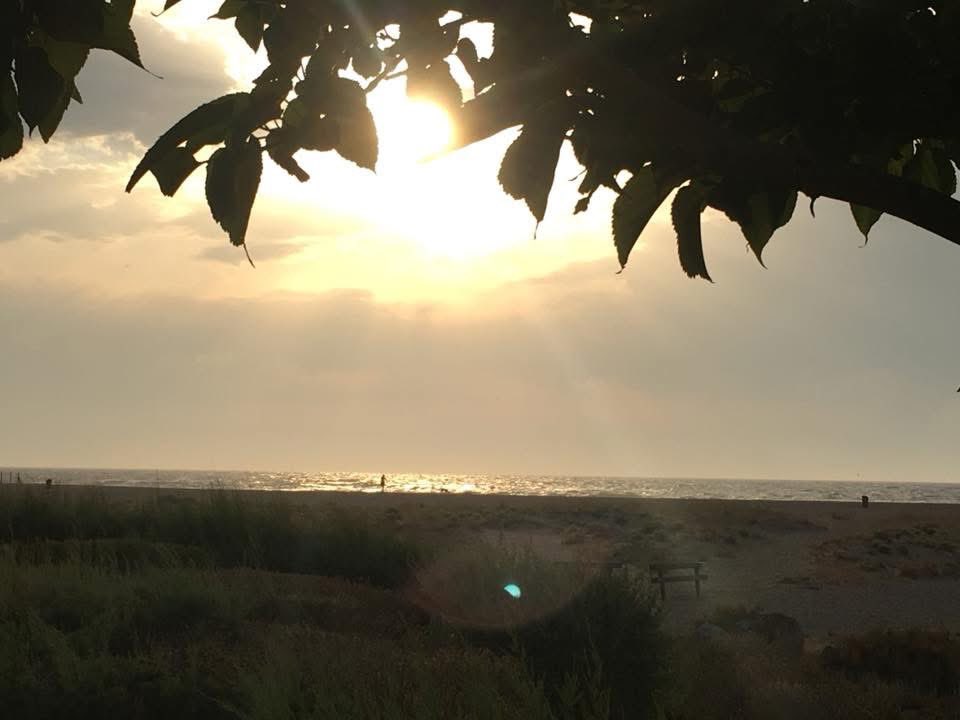 neverexplain61's tweet image. #Soirée #Méditerranée #PortLeucate #MaPlage photo ( 2023)