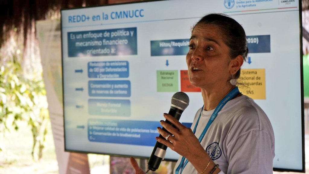 💬 “Invito a sumarse a la cocreación y al diálogo colectivo, participativo e inclusivo, que nos permita identificar oportunidades, superar barreras y establecer metas claras frente al cambio climático”, expresó Luz Marina Mantilla, directora general del Instituto SINCHI, en