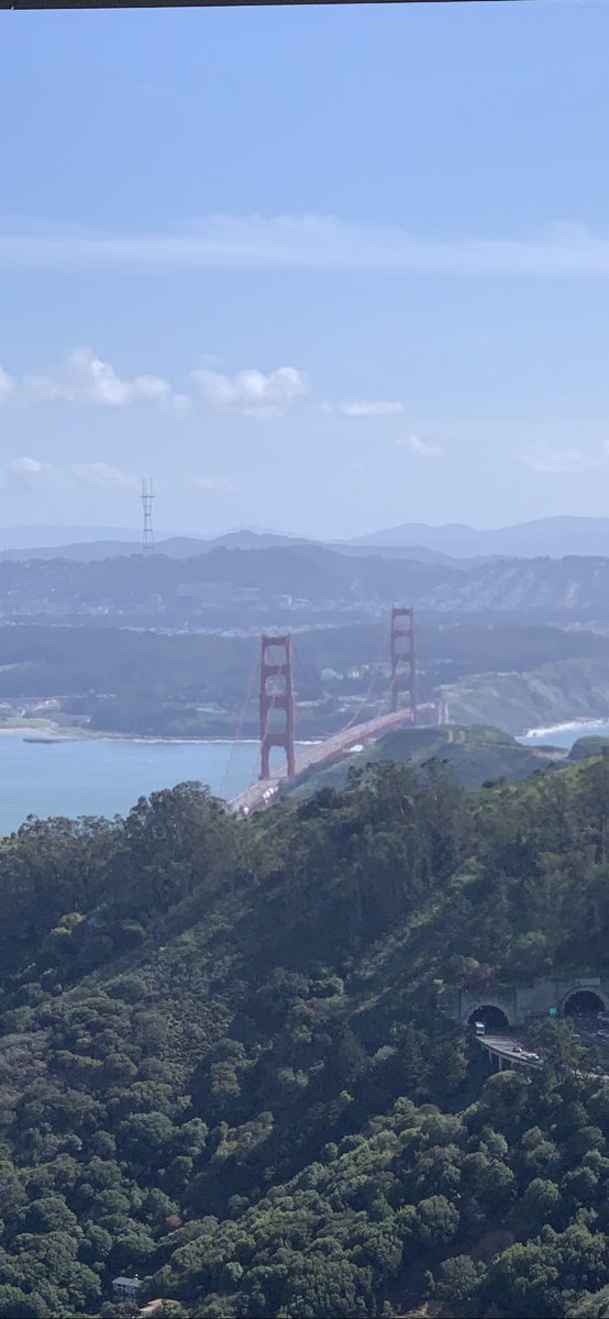 The Dude tweet media