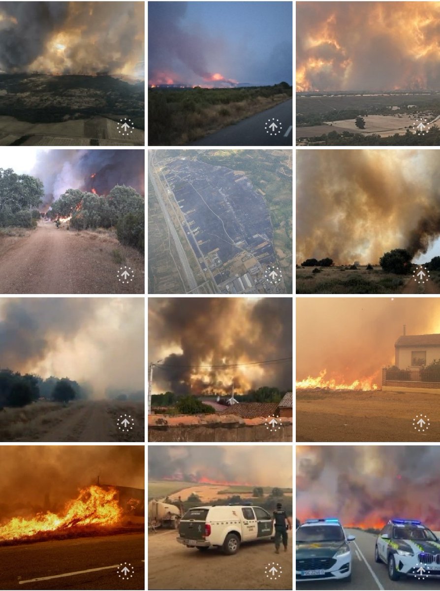 #Zamora 
Había tardado mucho con estas temperaturas y #Zamora de nuevo está ardiendo, esta vez la desgracia se está cebando con estos tres pueblos que ya han sido desalojados #MolezuelasdelaCarballeda #UñadeQuintana y el #CubodeBenavente y el incendio avanza camino de #León