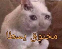 SHAHD :): tweet media