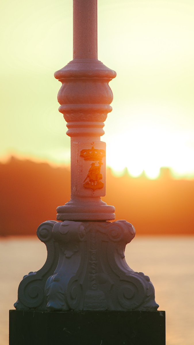 Guille Gómez tweet media