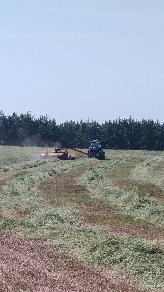 kenny reinke tweet media