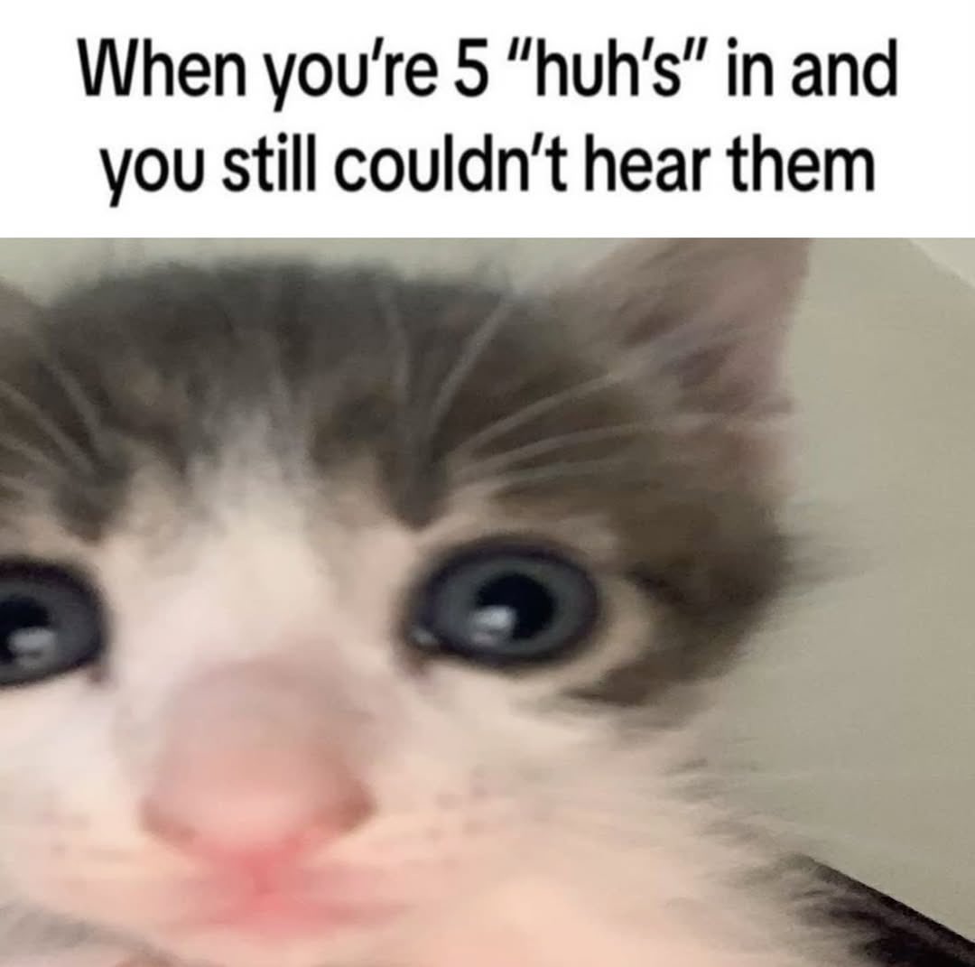 literallymecats's tweet photo. https://t.co/FKxNmQoEMo