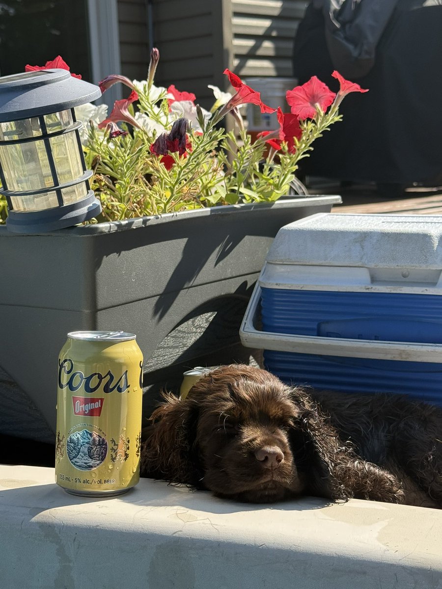 CoyleRick's tweet photo. Summer living @CoorsBanquet https://t.co/V2Dha0EpiN