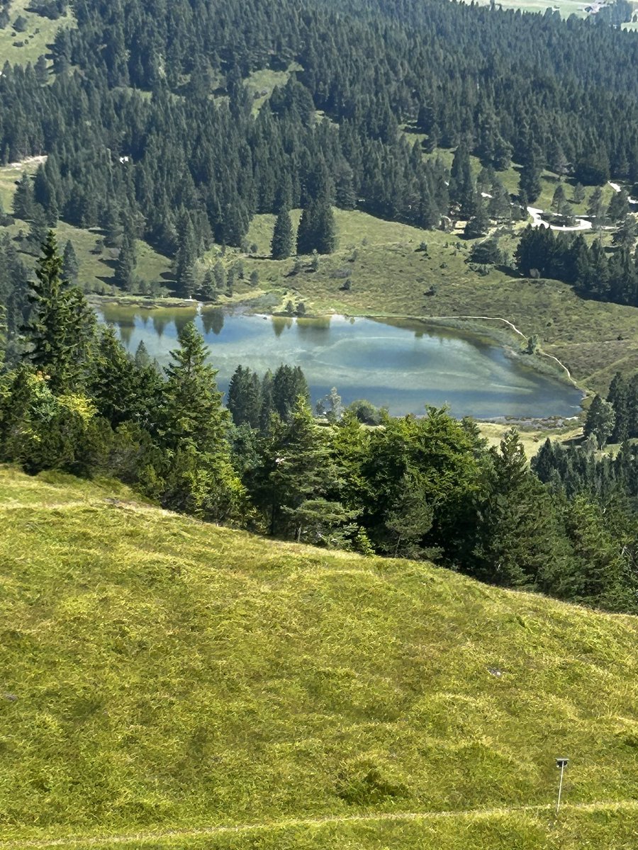 2 Tage ohne Chaostruppe Regierung 🤩 Leichte Entzugserscheinungen…. Diese konnten wunderbar kompensiert werden mit Alpenpower ☀️🤩