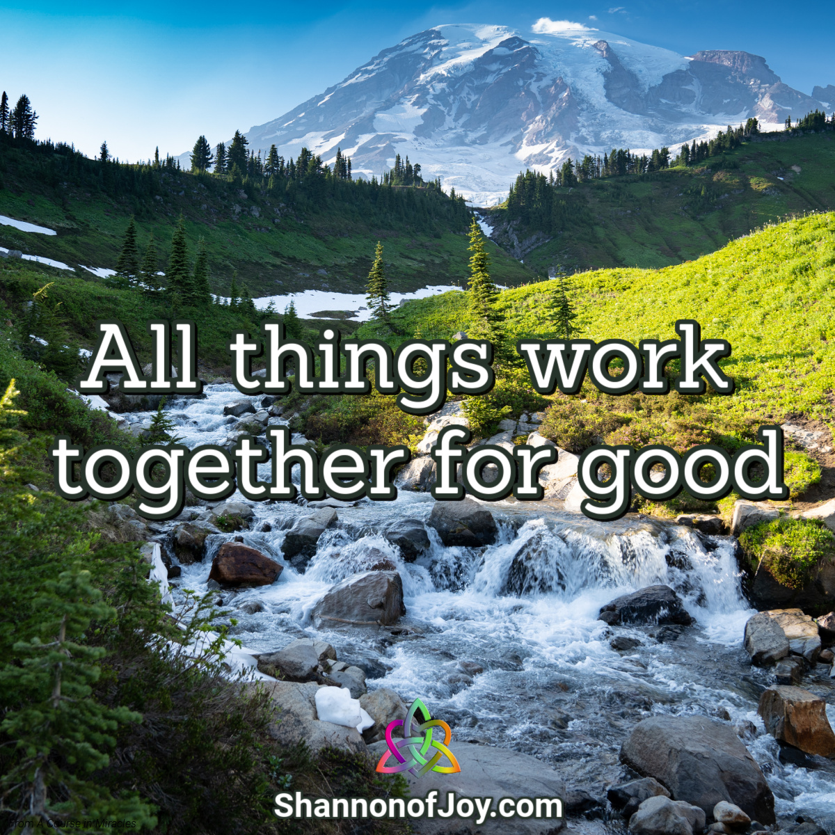shannonofjoy's tweet photo. https://t.co/qRCUZvwR3j
