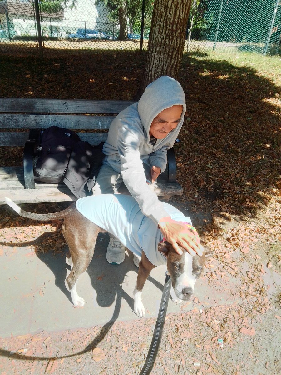 LebrockTony's tweet image. 🌞day🏞️🐕⌛💙💙🥰🫰💙💙
#allmyrelations #nativefriends
#uncle #dogwatching #doggie
#morninglove #peopledog #MadamRiley #bluenosepitti