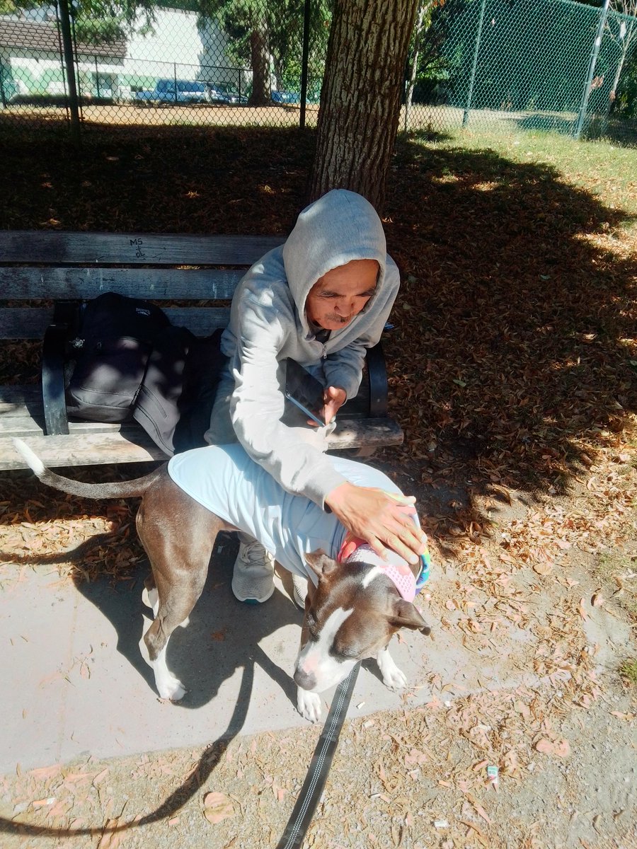 LebrockTony's tweet image. 🌞day🏞️🐕⌛💙💙🥰🫰💙💙
#allmyrelations #nativefriends
#uncle #dogwatching #doggie
#morninglove #peopledog #MadamRiley #bluenosepitti