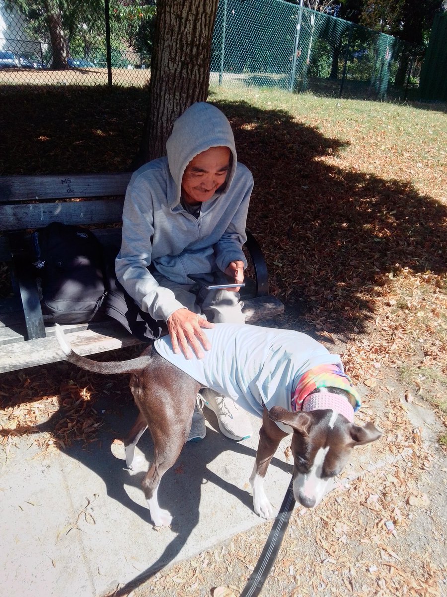 LebrockTony's tweet image. 🌞day🏞️🐕⌛💙💙🥰🫰💙💙
#allmyrelations #nativefriends
#uncle #dogwatching #doggie
#morninglove #peopledog #MadamRiley #bluenosepitti