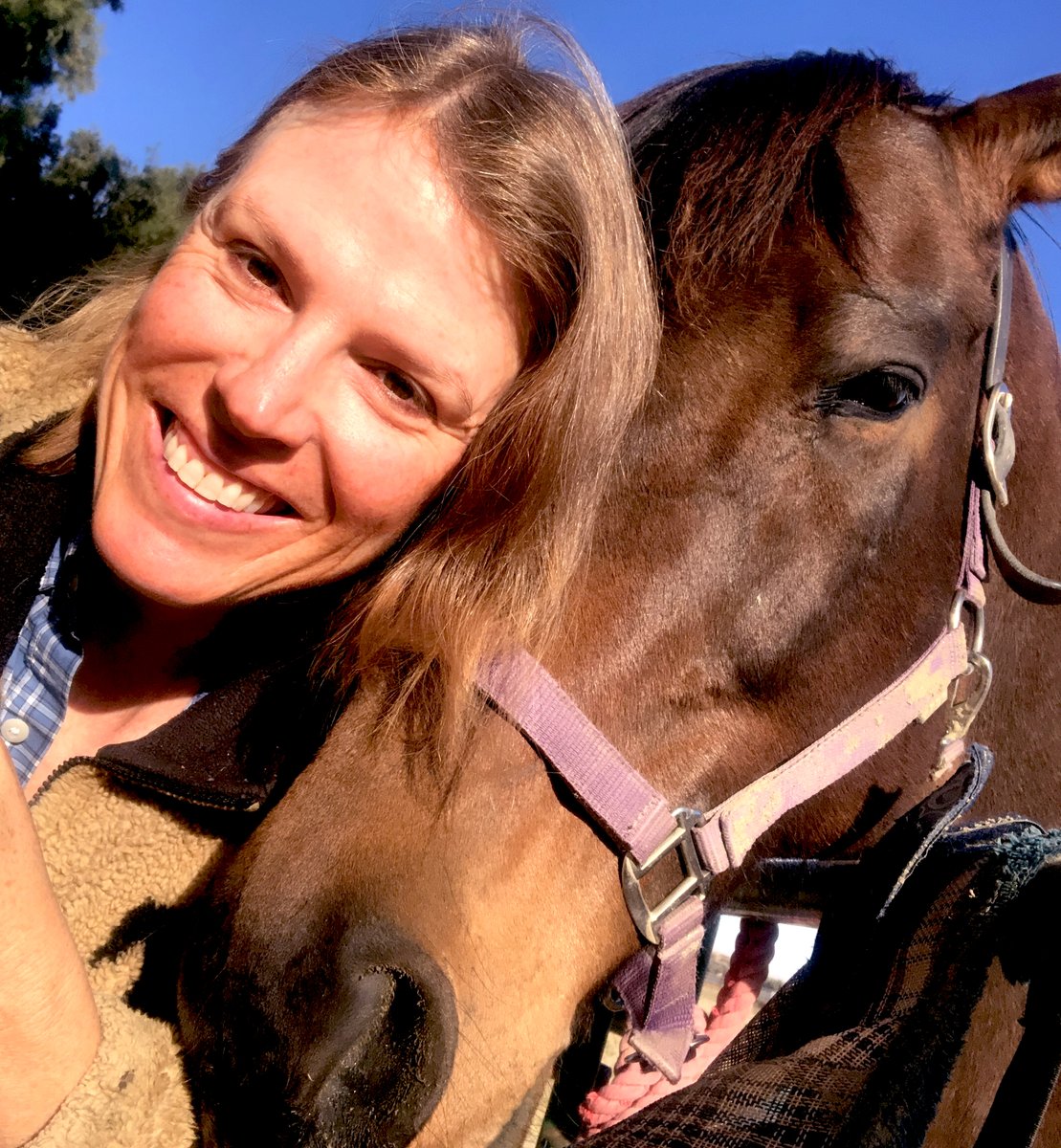 Glorious Alliance (@gloriousallianc) on Twitter photo My name's Karen Graninger-- <a href="/GloriousAllianc/">Glorious Alliance</a> -- I chronicle the life (now afterlife) of Glorious Alliance, my retired race horse for nearly 10,000 followers. I created a 501(c)(3) charity to help horses like her and we urgently need your financial help to continue our work. My name's Karen Graninger-- <a href="/GloriousAllianc/">Glorious Alliance</a> -- I chronicle the life (now afterlife) of Glorious Alliance, my retired race horse for nearly 10,000 followers. I created a 501(c)(3) charity to help horses like her and we urgently need your financial help to continue our work.