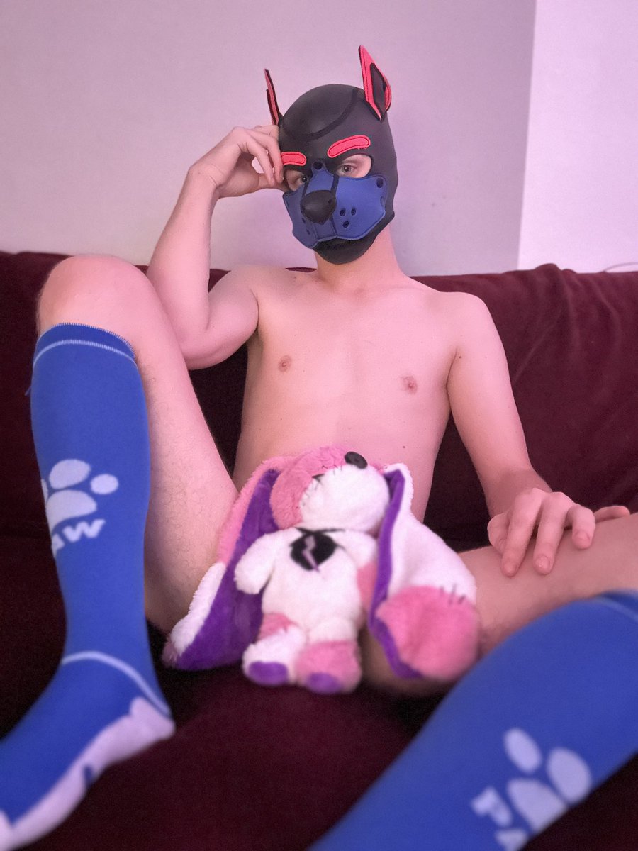 Oh you wanna take the bunny’s place?
Alright, go ahead then
Don’t be shy ;3

#pup #puppy #pupplay #puppyplay #kink #fetish #gay #gayboy #porn #kinky #k9hood #gear #bdsm #sm