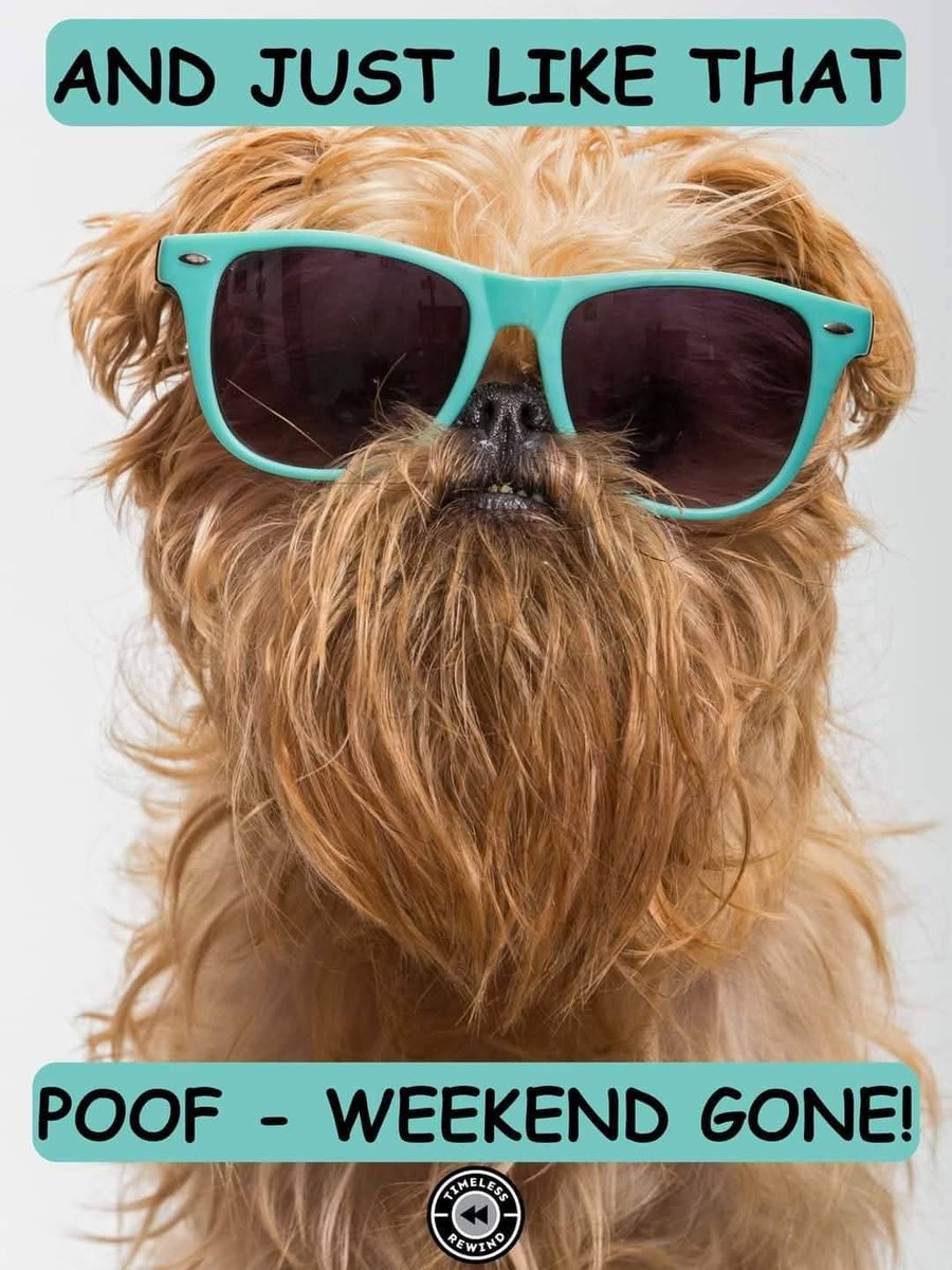 LilPhoenixRisin's tweet image. #FastWeekend