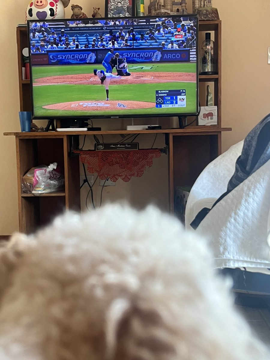 irmaos24's tweet photo. #LaCasaDelBeisbol domingo de beis y Kitty lo sabe https://t.co/STxBiY65ke
