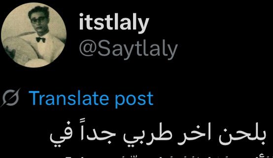 itstlaly tweet media