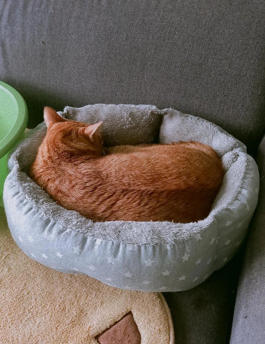 FiskaYenitaFK_'s tweet photo. Bila nak tidur, semua benda nak masuk kat kepala. Dari mengantuk, terus tak mengantuk. Dari tutup PC, turn on semula &amp; sudden.. I miss you so badly, buddy 💔 https://t.co/px9wOpCDCR