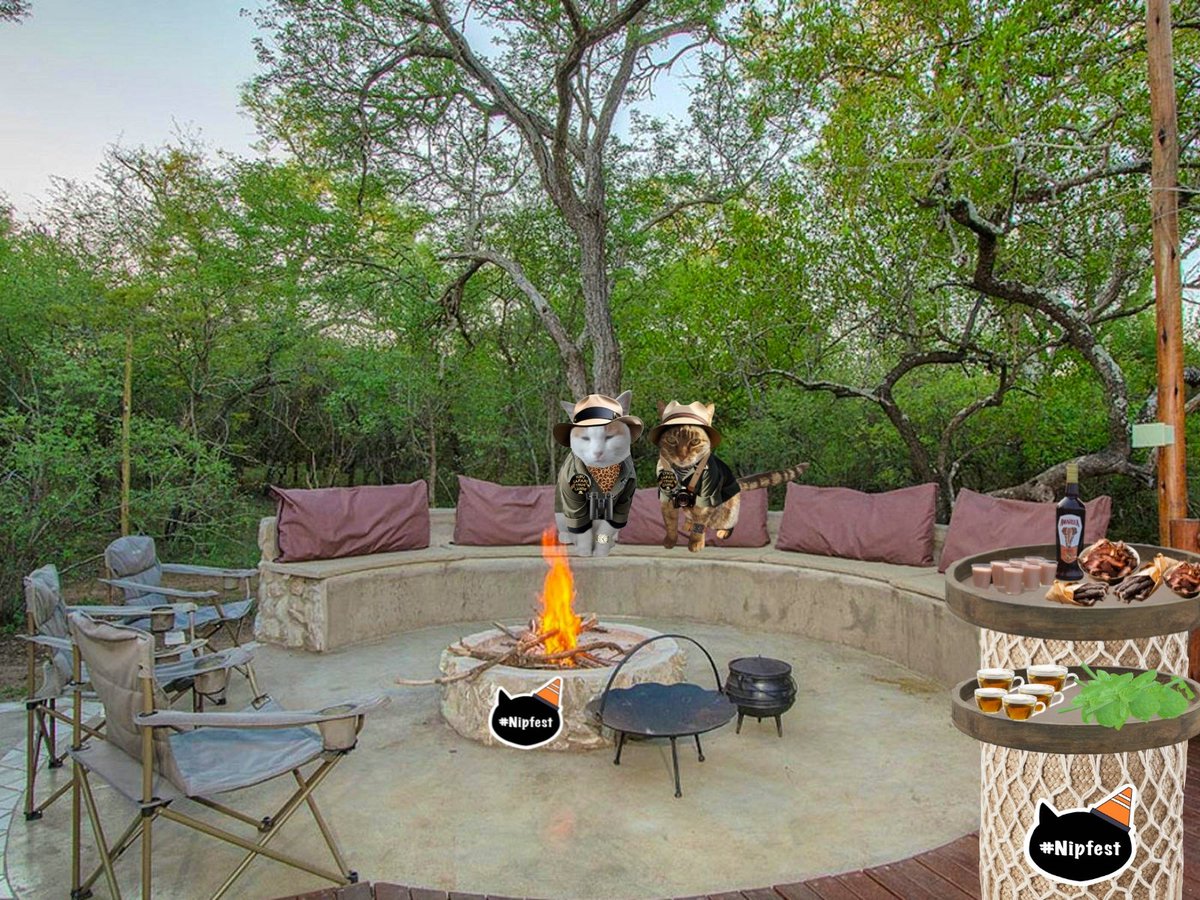 ๐Kiki๐ Stich ๐Lilo ๐Duke (@stichof9lives) on Twitter photo Get ready for wild education as we go through the portal to South Africa Saturday 23 August and learn about wildlife #Nipfest2025 <a href="/38Octavian/">Annie F R, Phoebe๐Teddy Henri & Kitty P๐งธ๐ธ๐ฌ๐ฎ๐น</a> <a href="/AlmaTheCat1/">AlmaTheCat๐</a> <a href="/AngusMcPussPuss/">Angus ๐ & Furgus McPussPuss๐ป</a> <a href="/BagginsSuperCat/">Baggins!</a> <a href="/Biscuit_Meow/">Biscuit๐ป๐ฆ๐พ๐</a> <a href="/booklover9851/">Diego ๐ & Alice ๐โโฌ๐</a> <a href="/TortoiseGatsby/">The Great Gatsby</a> <a href="/GrumpyBeak/">Gladys Beak ๐ข</a> <a href="/OliveFig2/">Olive Fig & Bella ๐โโฌ๐โโฌ๐</a> <a href="/holly_pickle1/">Holly ๐๐ซ๐๐พ</a> Get ready for wild education as we go through the portal to South Africa Saturday 23 August and learn about wildlife #Nipfest2025 <a href="/38Octavian/">Annie F R, Phoebe๐Teddy Henri & Kitty P๐งธ๐ธ๐ฌ๐ฎ๐น</a> <a href="/AlmaTheCat1/">AlmaTheCat๐</a> <a href="/AngusMcPussPuss/">Angus ๐ & Furgus McPussPuss๐ป</a> <a href="/BagginsSuperCat/">Baggins!</a> <a href="/Biscuit_Meow/">Biscuit๐ป๐ฆ๐พ๐</a> <a href="/booklover9851/">Diego ๐ & Alice ๐โโฌ๐</a> <a href="/TortoiseGatsby/">The Great Gatsby</a> <a href="/GrumpyBeak/">Gladys Beak ๐ข</a> <a href="/OliveFig2/">Olive Fig & Bella ๐โโฌ๐โโฌ๐</a> <a href="/holly_pickle1/">Holly ๐๐ซ๐๐พ</a>