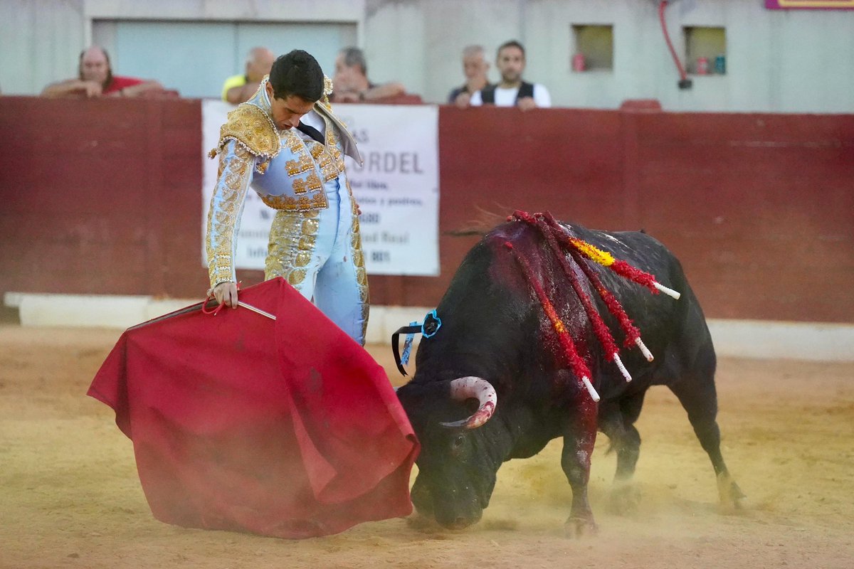 gespectatoledo's tweet photo. Gran tarde sin espada de @jorgemolinaa hoy en Villacañas . Pero gran dimensión a su vez. El que puede torear así que lo diga. Seguimos 🤘 https://t.co/EyjyY6bNVV
