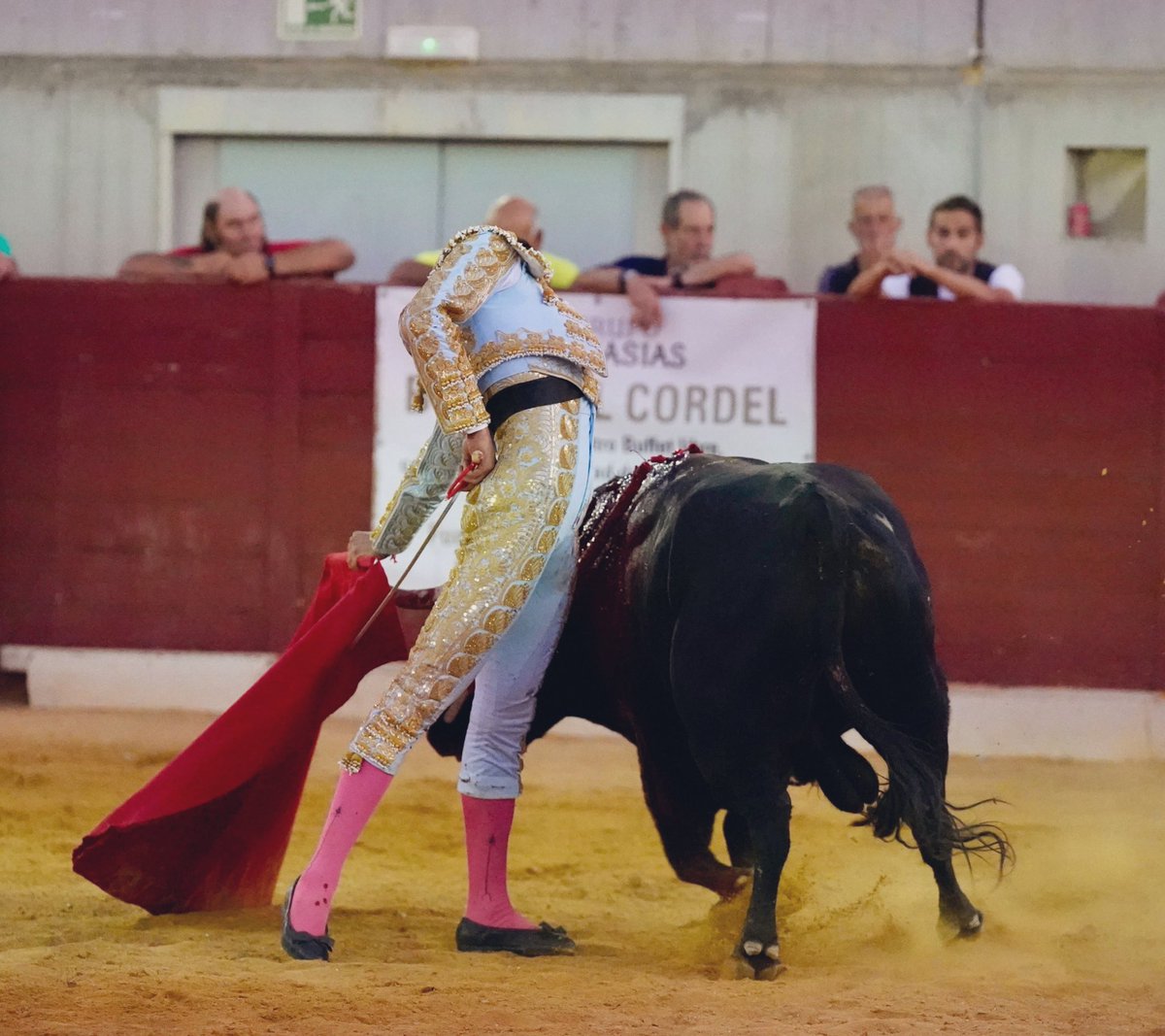 gespectatoledo's tweet photo. Gran tarde sin espada de @jorgemolinaa hoy en Villacañas . Pero gran dimensión a su vez. El que puede torear así que lo diga. Seguimos 🤘 https://t.co/EyjyY6bNVV