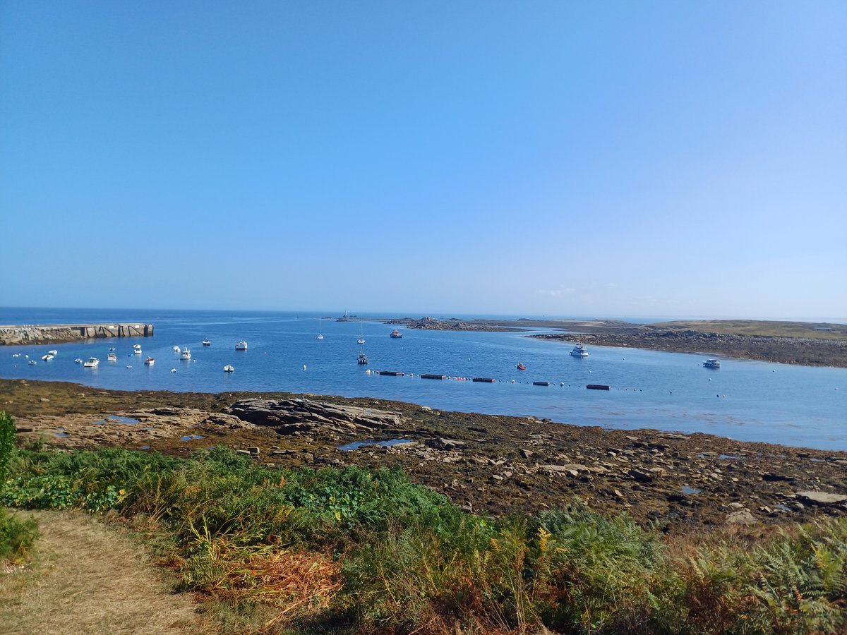 FiquetCeline's tweet photo. 10.08.2025 : Couleurs de Molène .... #iledemolène #bretagne #finistere #finisteretourisme #ilesduponant #merdiroise https://t.co/FIf7kTLJcx