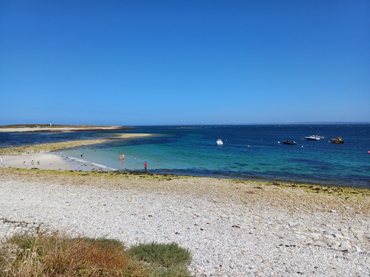 FiquetCeline's tweet photo. 10.08.2025 : Couleurs de Molène .... #iledemolène #bretagne #finistere #finisteretourisme #ilesduponant #merdiroise https://t.co/FIf7kTLJcx