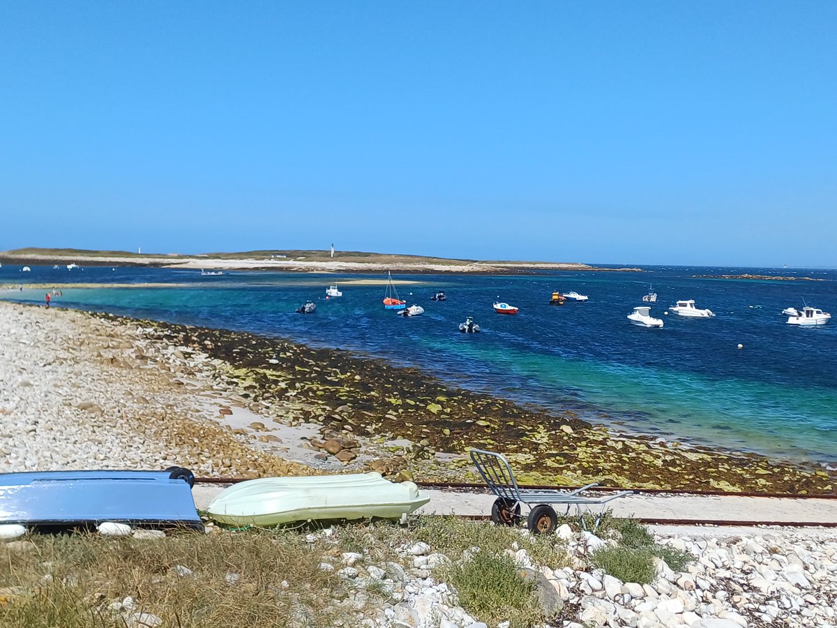 FiquetCeline's tweet photo. 10.08.2025 : Couleurs de Molène .... #iledemolène #bretagne #finistere #finisteretourisme #ilesduponant #merdiroise https://t.co/FIf7kTLJcx