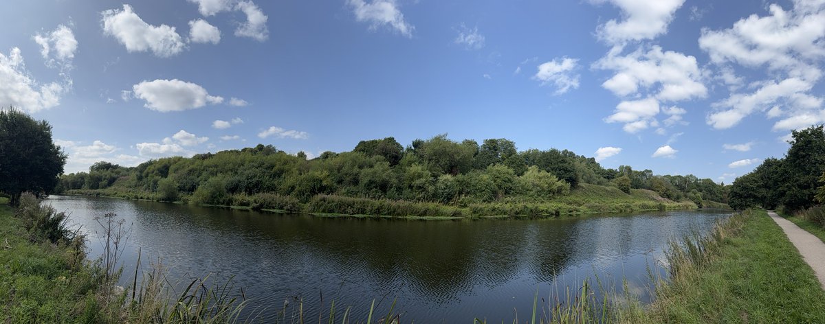 Exploring new home with Watson ❤️🐾