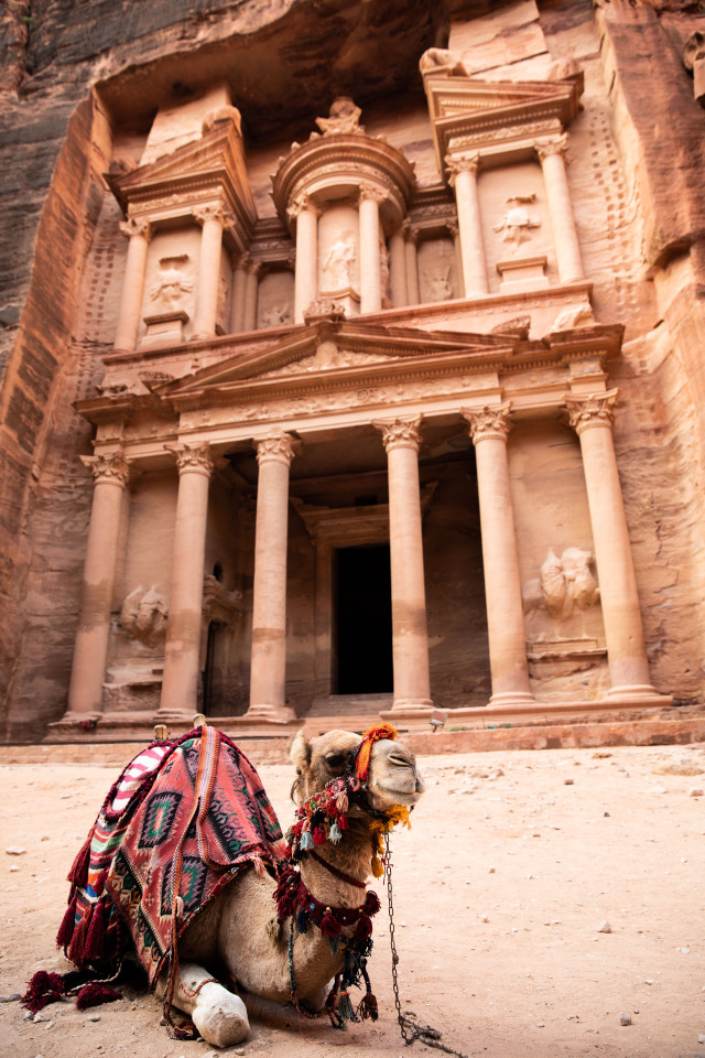 Derken o dişi deveyi kesip öldürdüler, böylece Rablerinin emrinden dışarı çıktılar ve: “Ey Sâlih, eğer gerçekten sen peygamberlerden isen bizi tehdit edip durduğun azabı getir de görelim!” diye meydan okudular. A'râf Suresi, 77. ayet