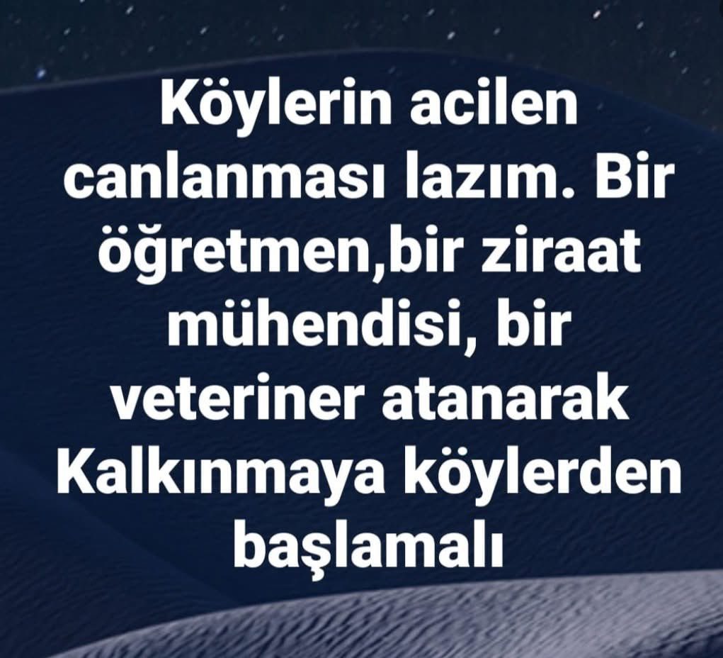 Selen Sayar (@pickyplucky) on Twitter photo 