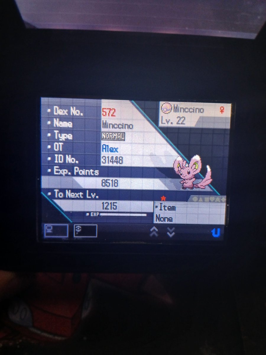 Shiny Minccino in White after 5,868 REs!! Really cool shiny. Also this thing broke out of almost 20 balls lol