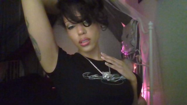 Ne Plus Ultra tweet media