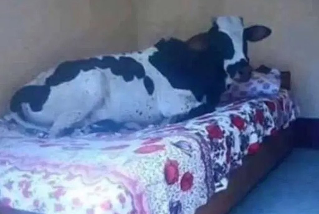 anneme göre sabahtan akşama kadar ben