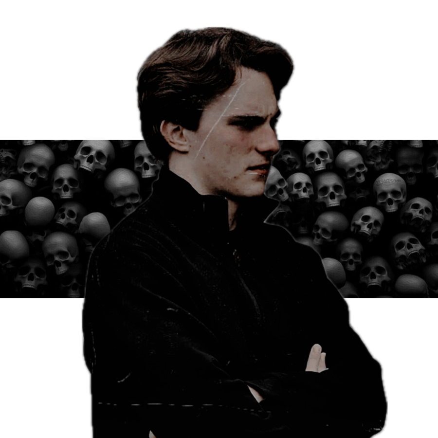 ‍‍‍ ‍ ‍𝒙𝒂𝒗𝒊𝒆𝒓. tweet media