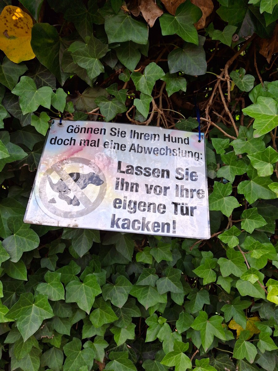 Crazy, ich habe einen zweiten #Follower, diesmal eine -in. May I ask <a href="/IvankaTrump/">Ivanka Trump</a>  to introduce yourself with a few words? Who are you? What is you business? <a href="/hundefans/">Hunde- & Katzenfans</a>
