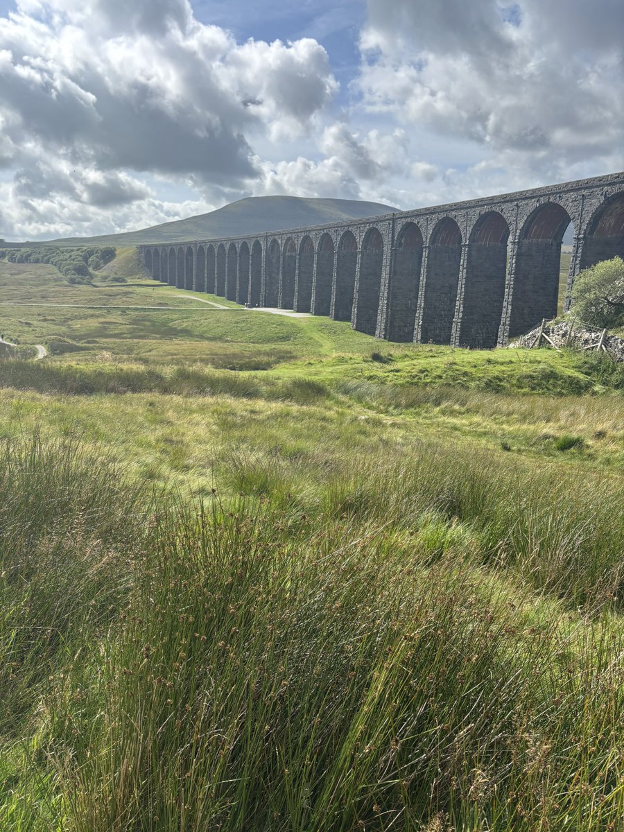 South Cave Sporting tweet media