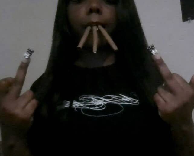 Ne Plus Ultra tweet media