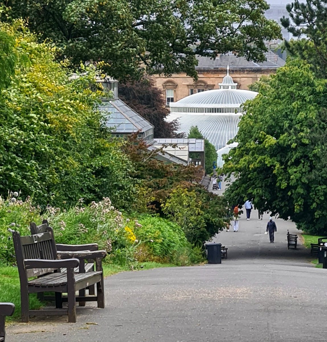 is_glasgow's tweet photo. Glasgow's Botanic Gardens, with the distinctive Kibble Palace Victorian glasshouse in the distance.

#glasgow #glasgowwestend #botanicgardens #kibblepalace #glasgowbotanics #cityscapes https://t.co/jcxUbGT1d1