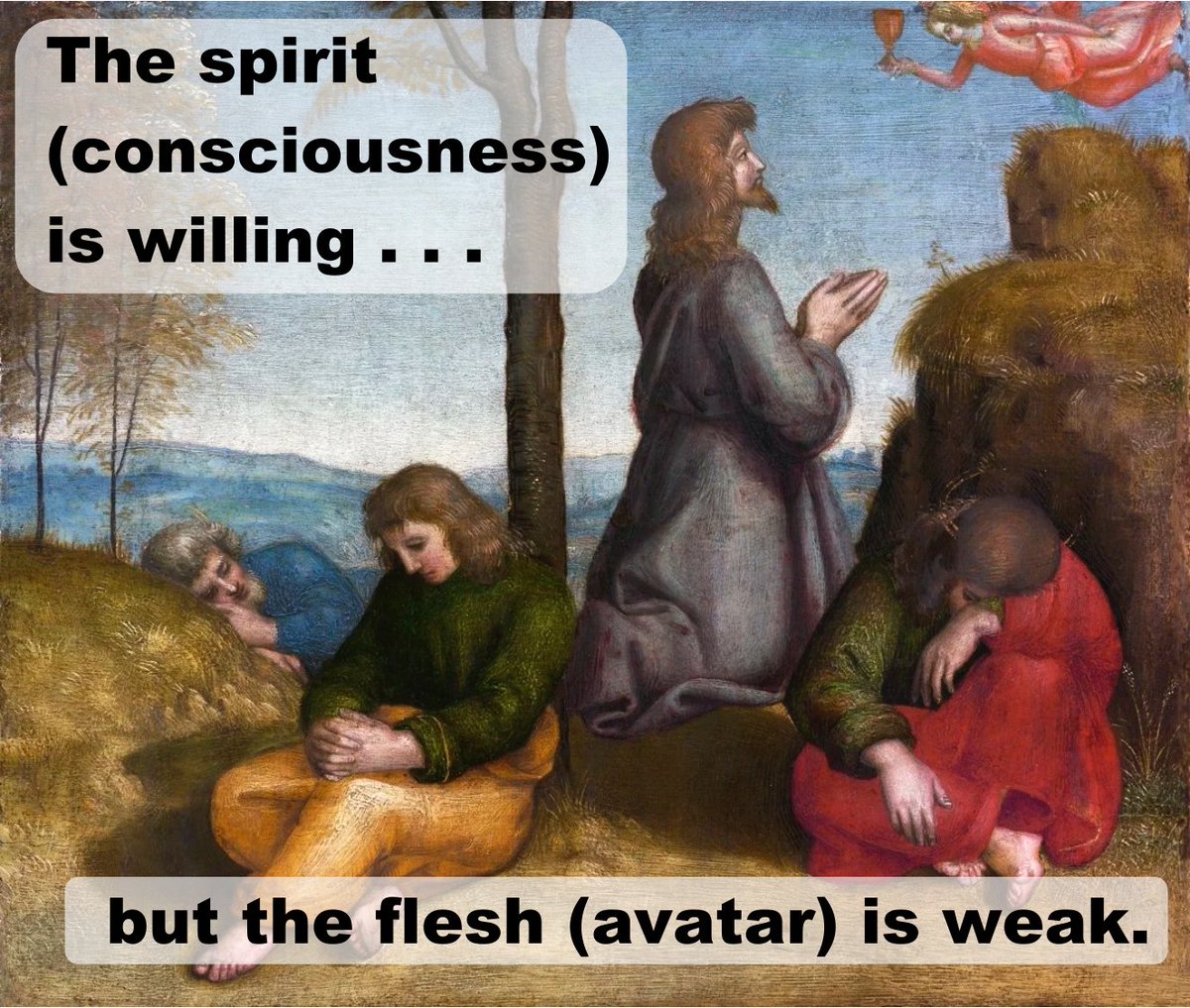 BLESSED_in_Sim's tweet image. Is Matthew 26:41 recognizing that our spirit/mind/consciousness is separate from our flesh/body/avatar?