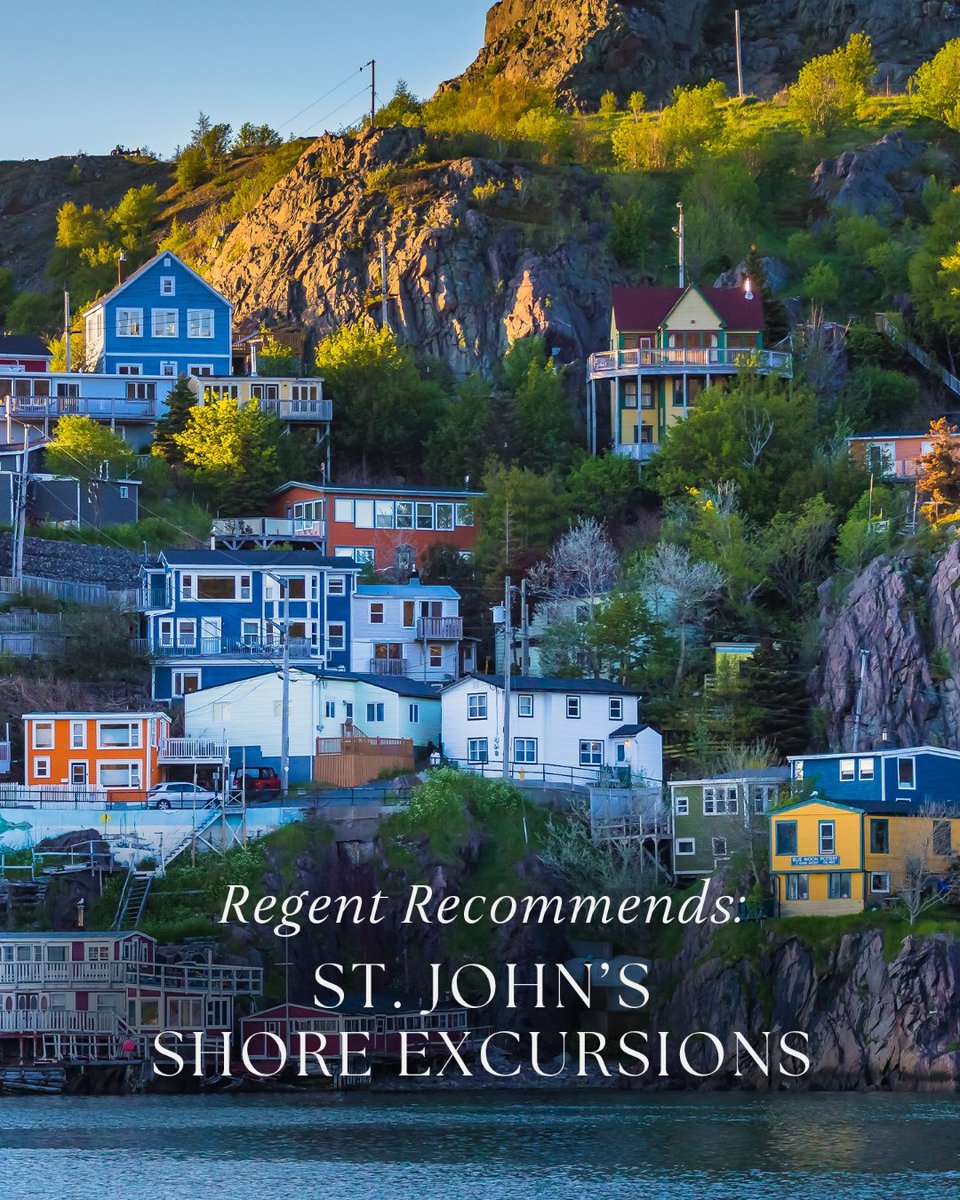 Sailing to Newfoundland? Explore guest-favorite excursions, from puffin-watching cruises and scenic hikes to colorful downtown walks and ancient geology in our Regent Recommends blog series. Read more bit.ly/3H1paNt