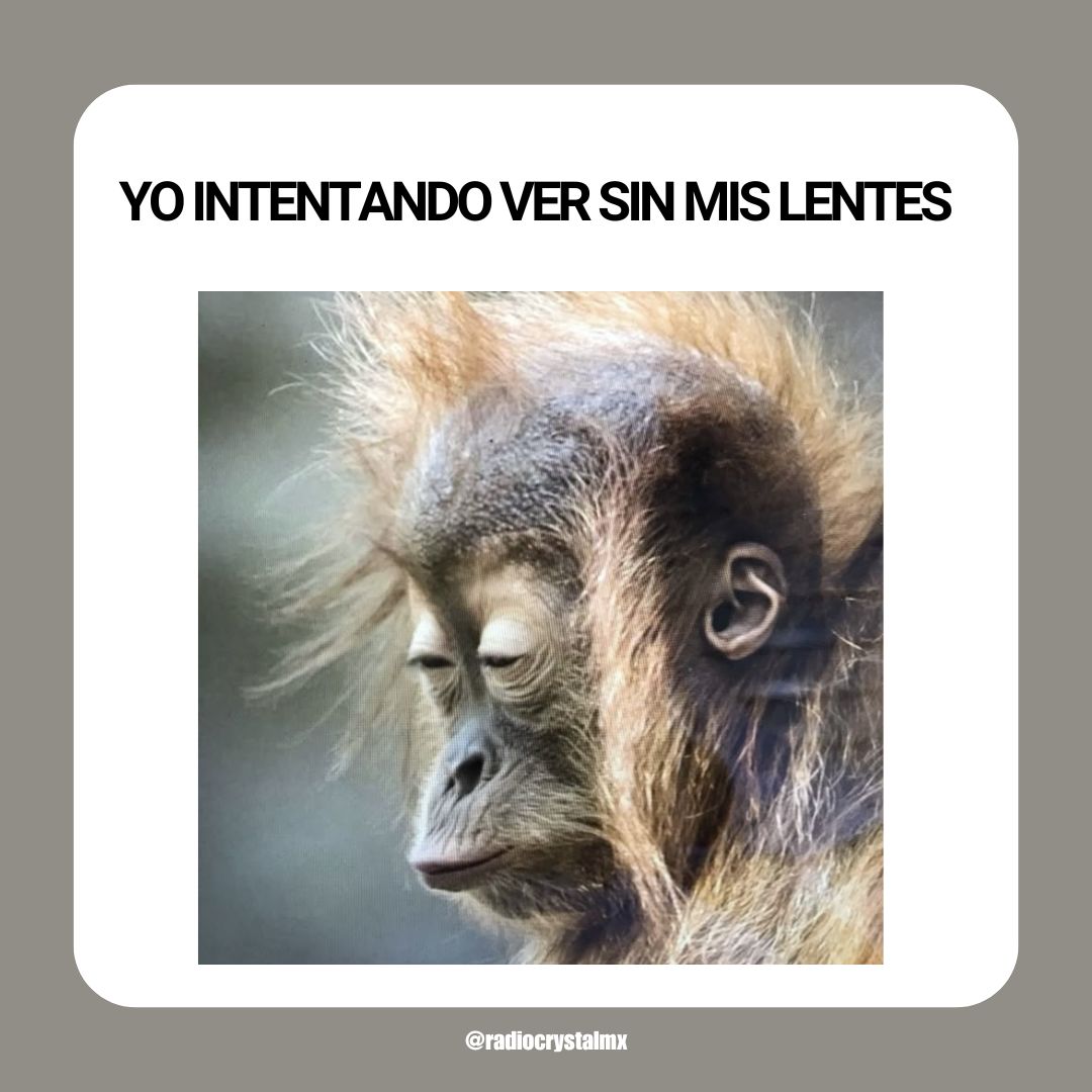 RadioCrystalMx's tweet image. Yo sin lentes:
“¿Es un perro, un niño… o una mochila?” 🤯

#RadioCrystal #meme #Ciego #SinLentes #Humor